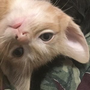 Meet your Posher, Andy